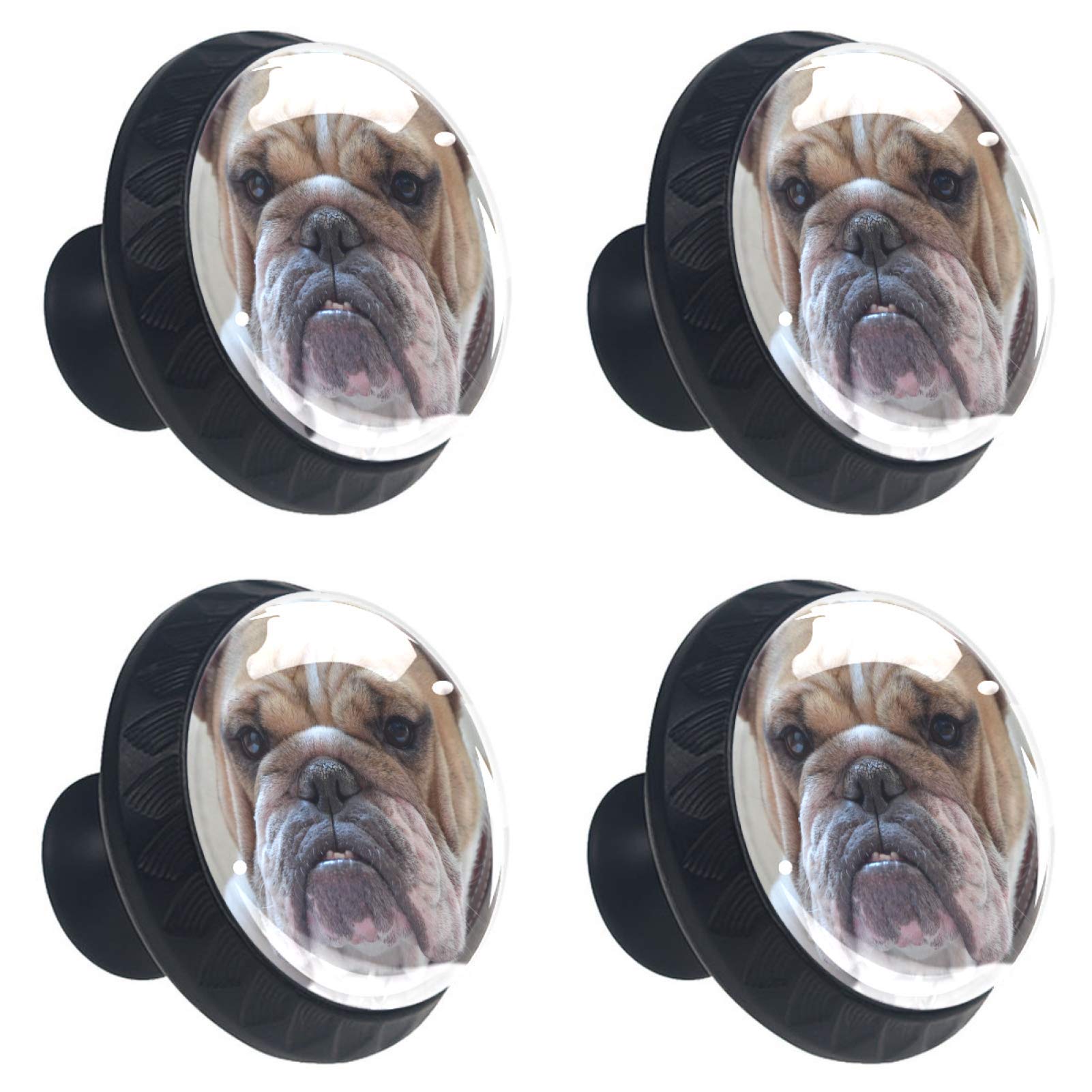 Poignée de tiroir bouledogue anglais pour bouton de meuble cuisine et buffet