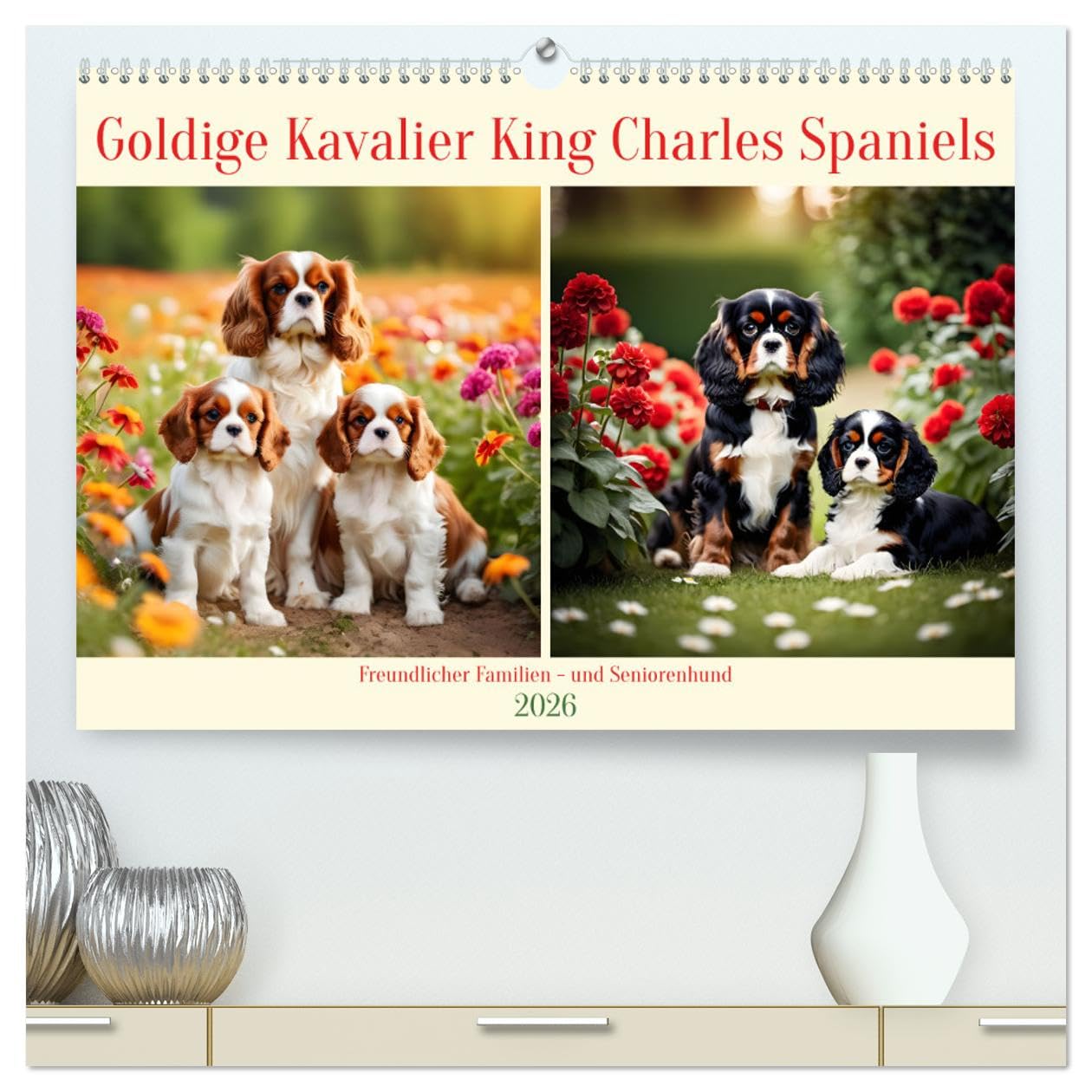 Goldige Kavalier King Charles Spaniels (hochwertiger Premium Wandkalender 2026 DIN A2 quer), Kunstdruck in Hochglanz: Freundlicher Familien- und Seniorenhund (CALVENDO Tiere)