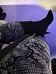Review Image by The_Phenomenal_Doctor The_Phenomenal_Doctor