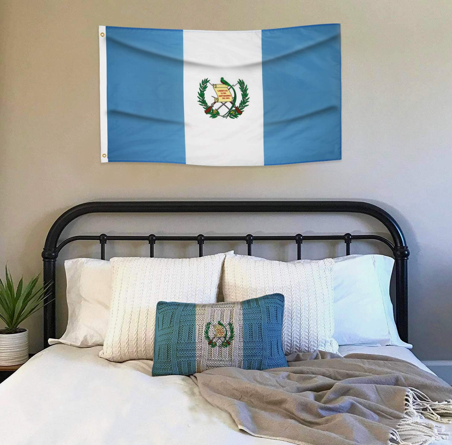 Guatemala Flag