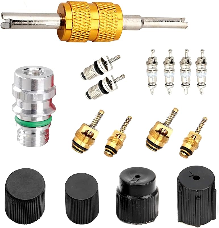 Kit de Núcleos de Válvula para Ar-Condicionado Automotivo Zosgrew R134A e R12 – 16 peças