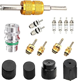 Zosgrew 16 PCS Air Condition Valve Core Kit, R134A A/C Ducts Pressure Caps and Service Valves, Universal AC System Charging Port Maintain Accessories, for Most Cars, Trucks, SUVs (Black)