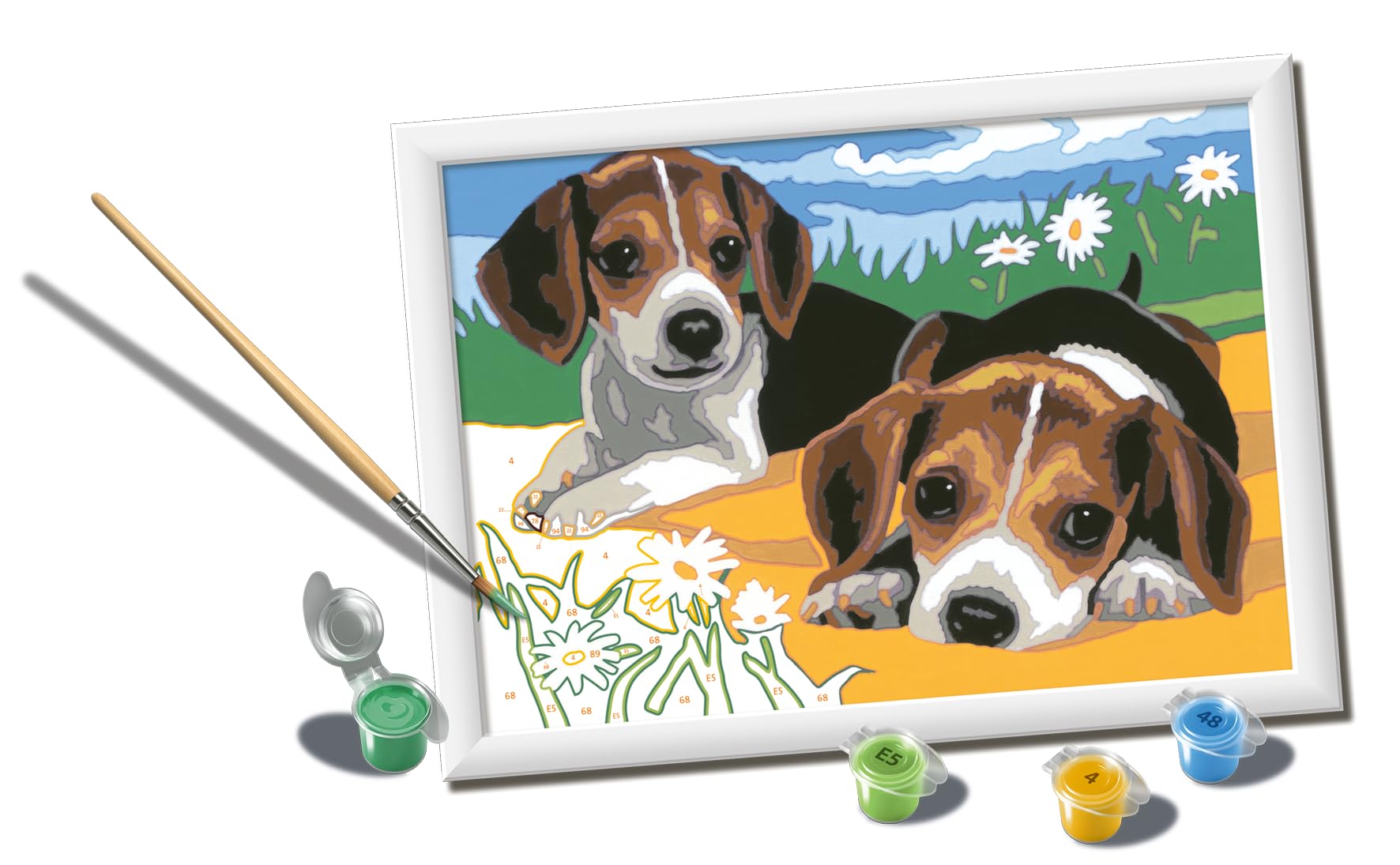 CreArt Beagle Puppies Paint by Numbers Kit for Kids - 12023083 - Painting Arts and Crafts…