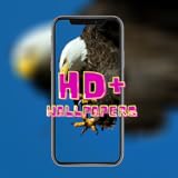 aesthetic wallpapers 4k hd