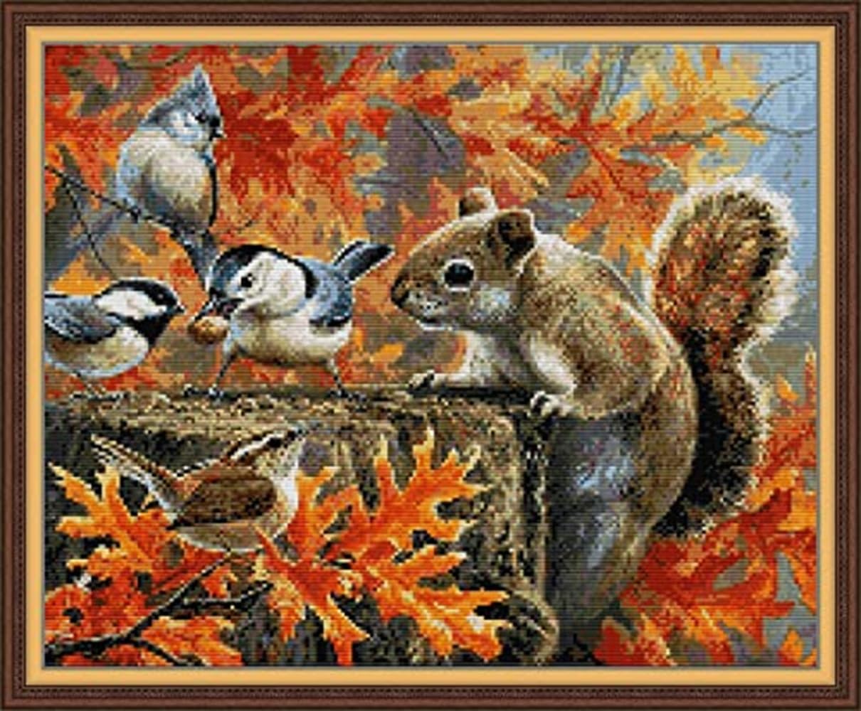 Rosyfoxes Cross Stitch Kits Stamped Full Range of Embroidery Starter Kits for Beginners DIY 14CT 2 Strands - Printed kit Squirrel and Bird(Printed) 18.5×15.7 inches