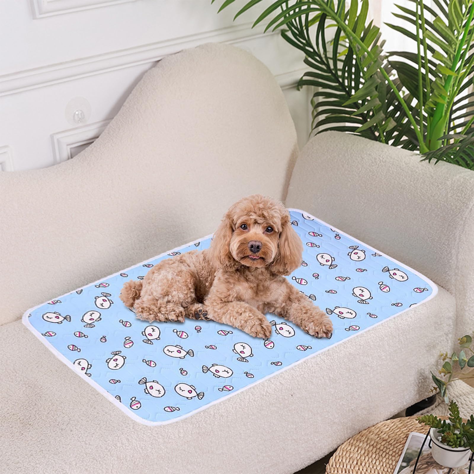 Emulsión Cama Gato Verano, Pequeños Cama Perro Verano, 50x40cm Lavable Manta Refrescante para Perros, No Tóxicas Manta Fria para Gatos para CAsa, Viajes y Coche, Azul