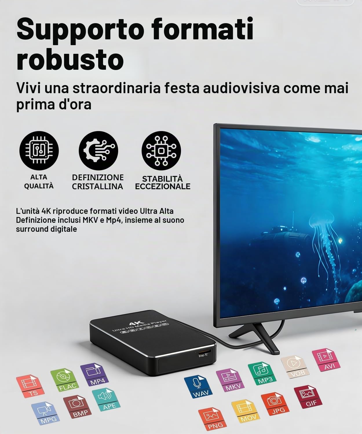 4K HDD 60Hz Media Player & HDD Enclosure 2-in-1, Metal, Play H.265/HEVC H.264/AVC MP4 MKV Video MP3 Music JPG Photos,4K HD, analogico AV,USB 3.0,Type C,Supporta SSD,2.5" SATA HDD con scheda USB/SD