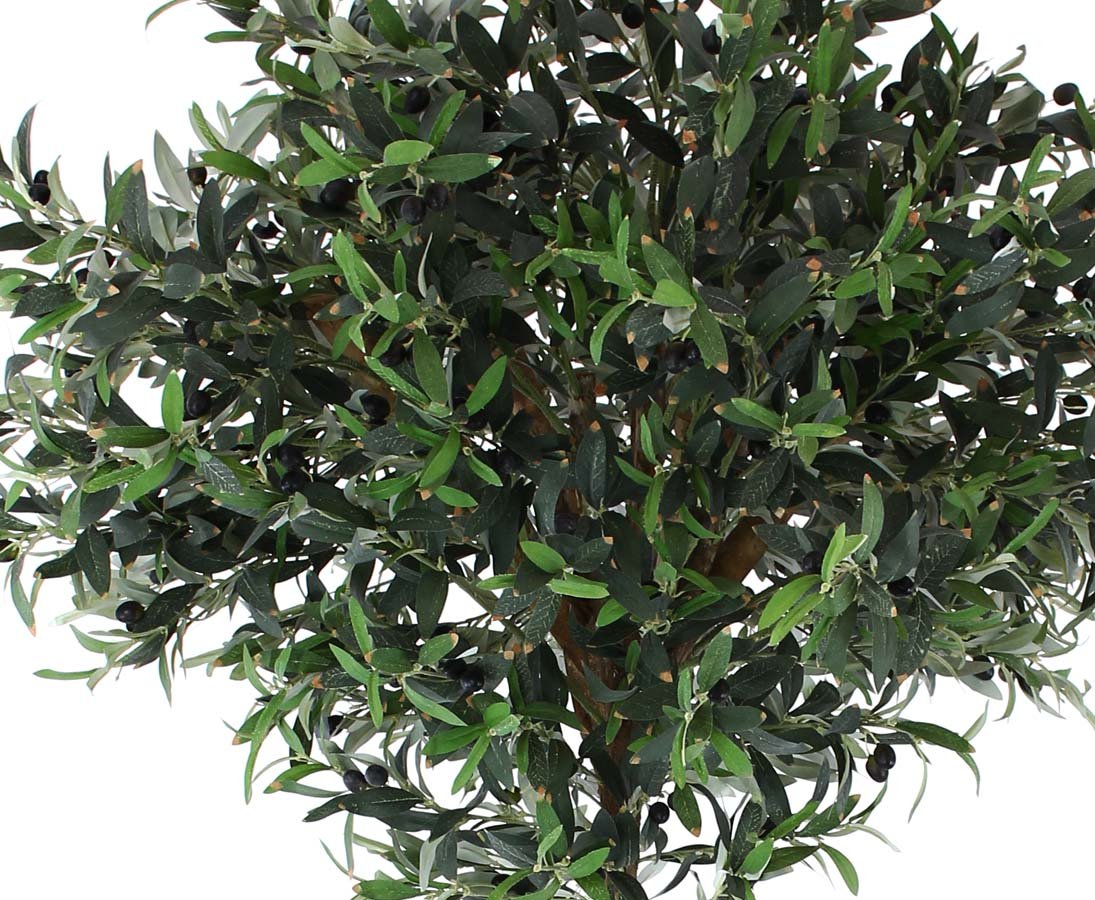 kunstpflanzen-discount.com Knstlicher Olivenbaum 200cm hoch mit Naturstamm  und runder Krone - 2m groer Kunstbaum mit Oliven Frchten im Topf :  Amazon.de: Kche, Haushalt & Wohnen