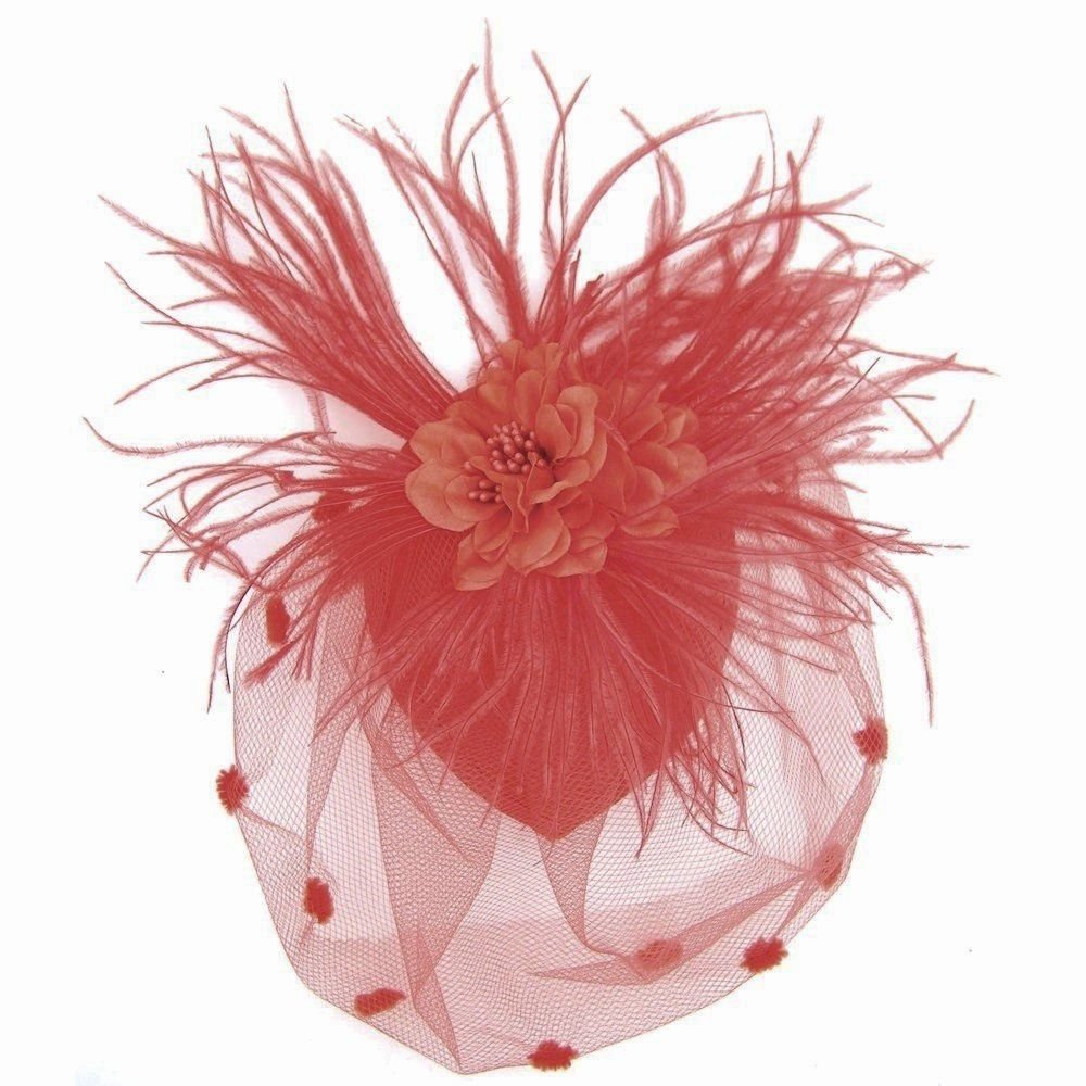 ZADRed : Zad Women's Feather & Mesh Fascinator Hair Clip Cocktail Party Hat (Scarlet Red)