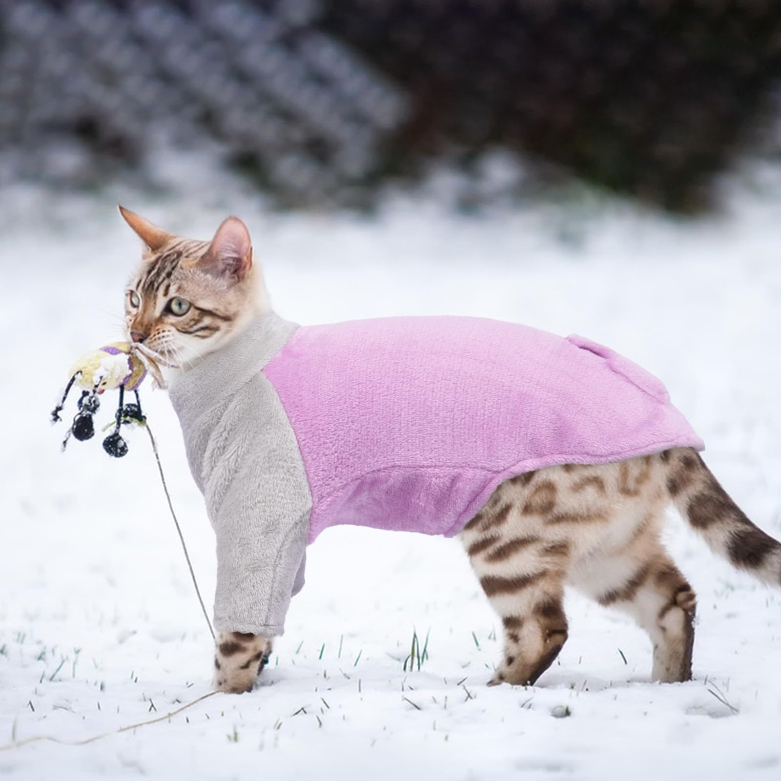 Ropa de Invierno para Gatos, Abrigo Invierno Gatos Jersey Suéter Cálido Sphynx Pijama para Gato Pequeño Mediano Grande(Púrpura, L)