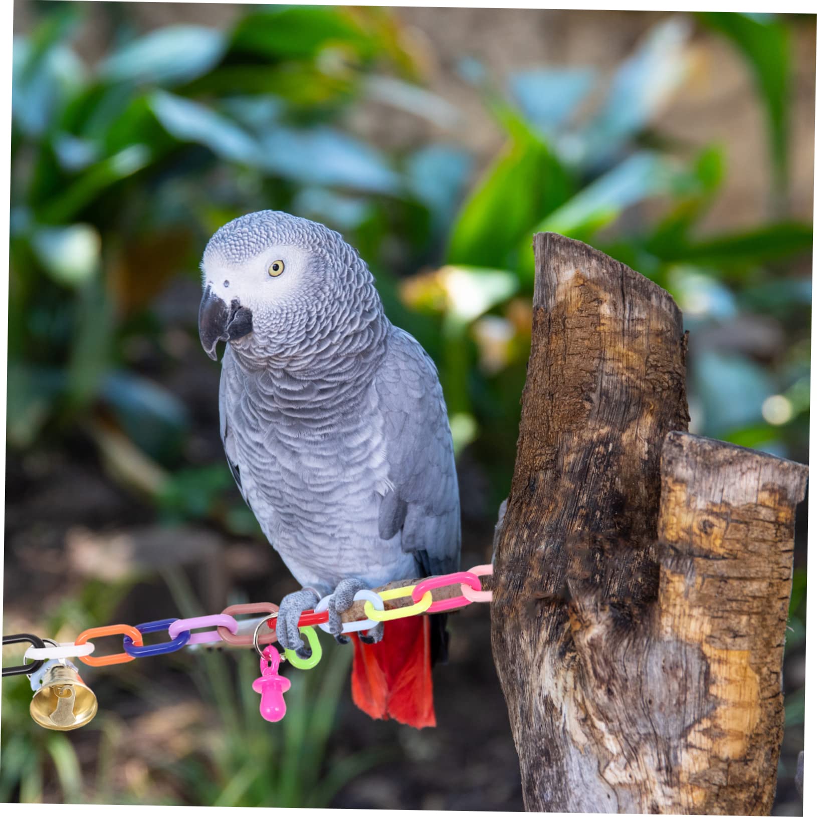 KESYOO 2Pcs Parrot Swing Creative Bird Plaything with Bells Soft Bridge for Budgies and Birds Easy to Attach to Cages and Climbing