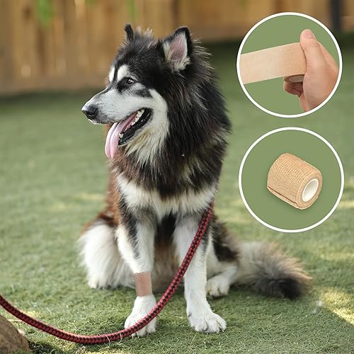 Miniatura 9 de Paquete de 30 vendajes atléticos autoadhesivos, envoltura deportiva transpirable, envoltura veterinaria para caballo, rollos de gasa elástica para