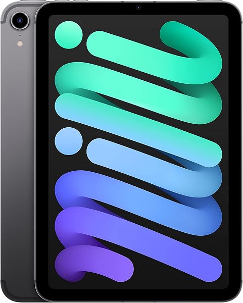 2021 Apple iPad Mini (8,3-pouces, Wi-Fi + Cellulaire, 256 Go) Gris Sidéral (Reconditionné) - 1