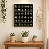 Vista 6 de Jumbl Vitrina Curio de pared de vidrio de chupito de madera - Negro