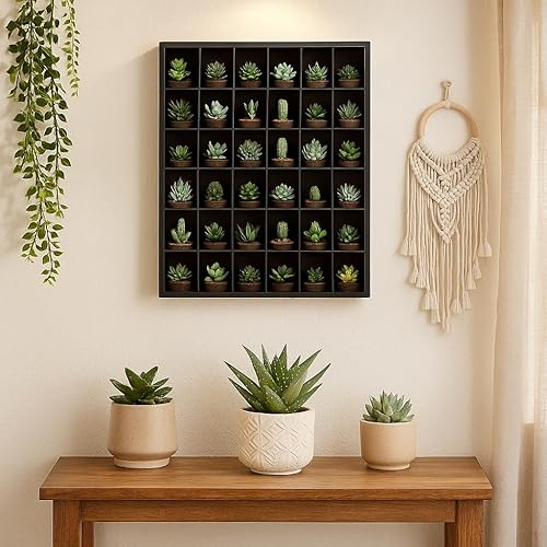 Miniatura 6 de Jumbl Vitrina Curio de pared de vidrio de chupito de madera - Negro