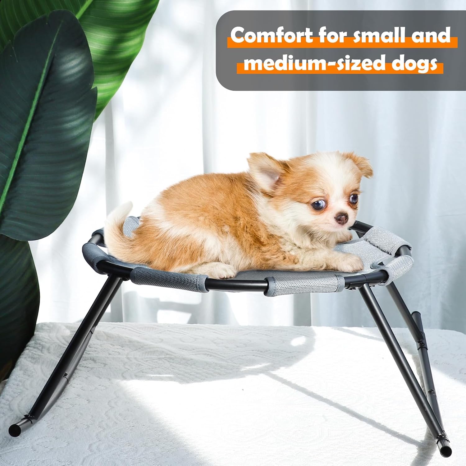review Elevated Cat Dog Bed, Raised Indoor Pet Hammock, Anti-Scratch Mesh, Easy Assembly, Stable Structure, Year-Round Adaptable, Small (30lbs)