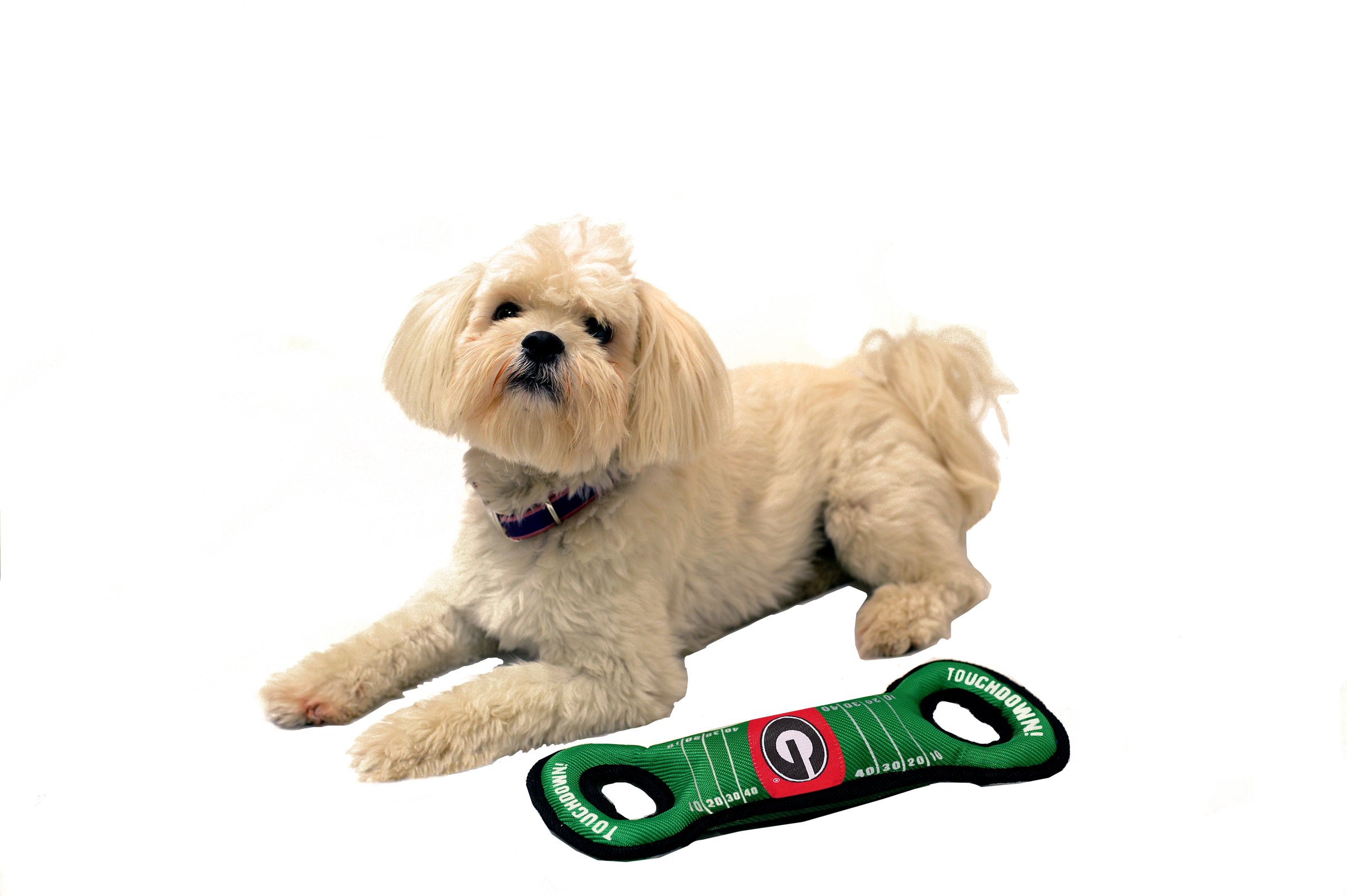 NCAA Football campo perro juguete con squeaker – 45 equipos disponibles – para juegos, Toss, y busca. – resistente y Durable mascota juguete. College – perro juguete. – Collegiate mascota juguete.
