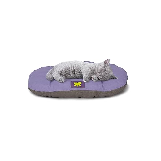 Ferplast Cuccia Cane Relax, Cuscino per cani di piccole dimensioni, Cuccia Gatto, Tappetino per cucce e auto -Lavabile - in Cotone con Soffice Imbottitura, 43 x 30 cm. Lilla