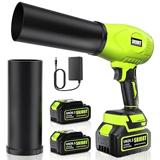 Leaf Blower Cordless with Battery and Charger, 800,000 RPM, Extended Nozzle, Lightweight Handheld Design,Blower for Patio Cleaning,car Blowing Water, Blowing Leaves and Dust(Bright Green) - Amazon product rated Grade A