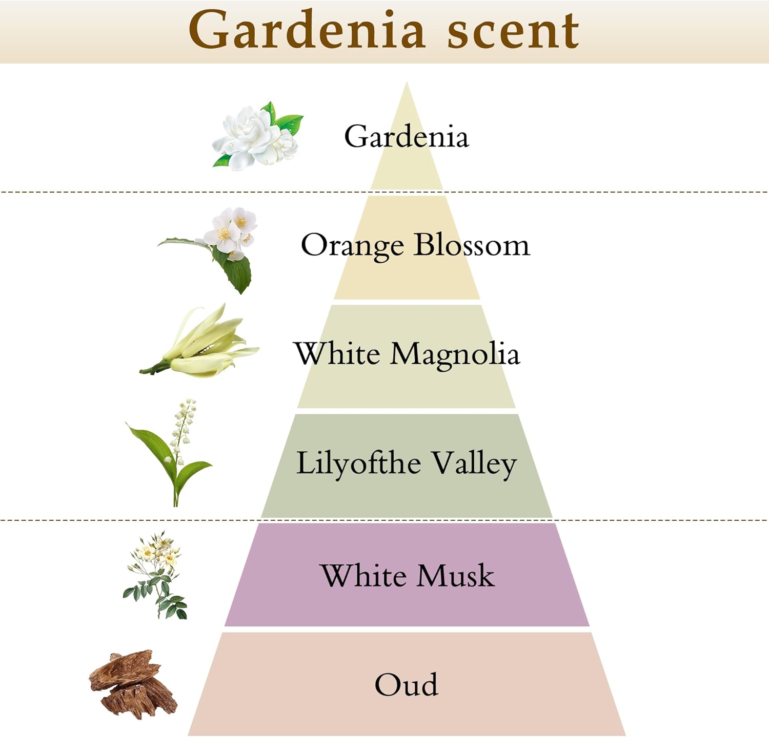 XEPTLE Reed Diffuser Set, 7.04 oz Creamy Gardenia Scent Diffuser with 5 Sticks, Long Lasting Air Freshener, Essential Oil Reed Diffuser, Home Fragrance for Office, Bathroom Shelf Decor, White - Image 2