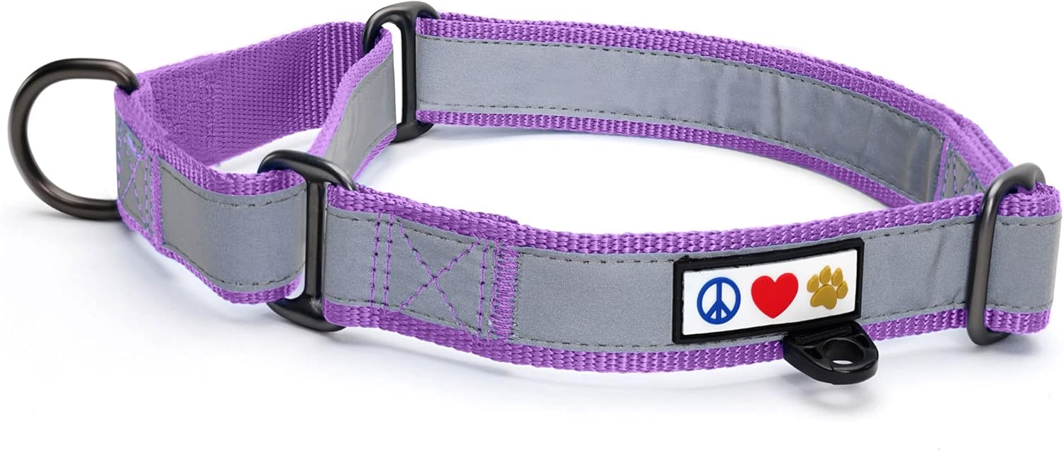 Pawtitas Martingale Dog Collar Puppy Collar Reflective Dog