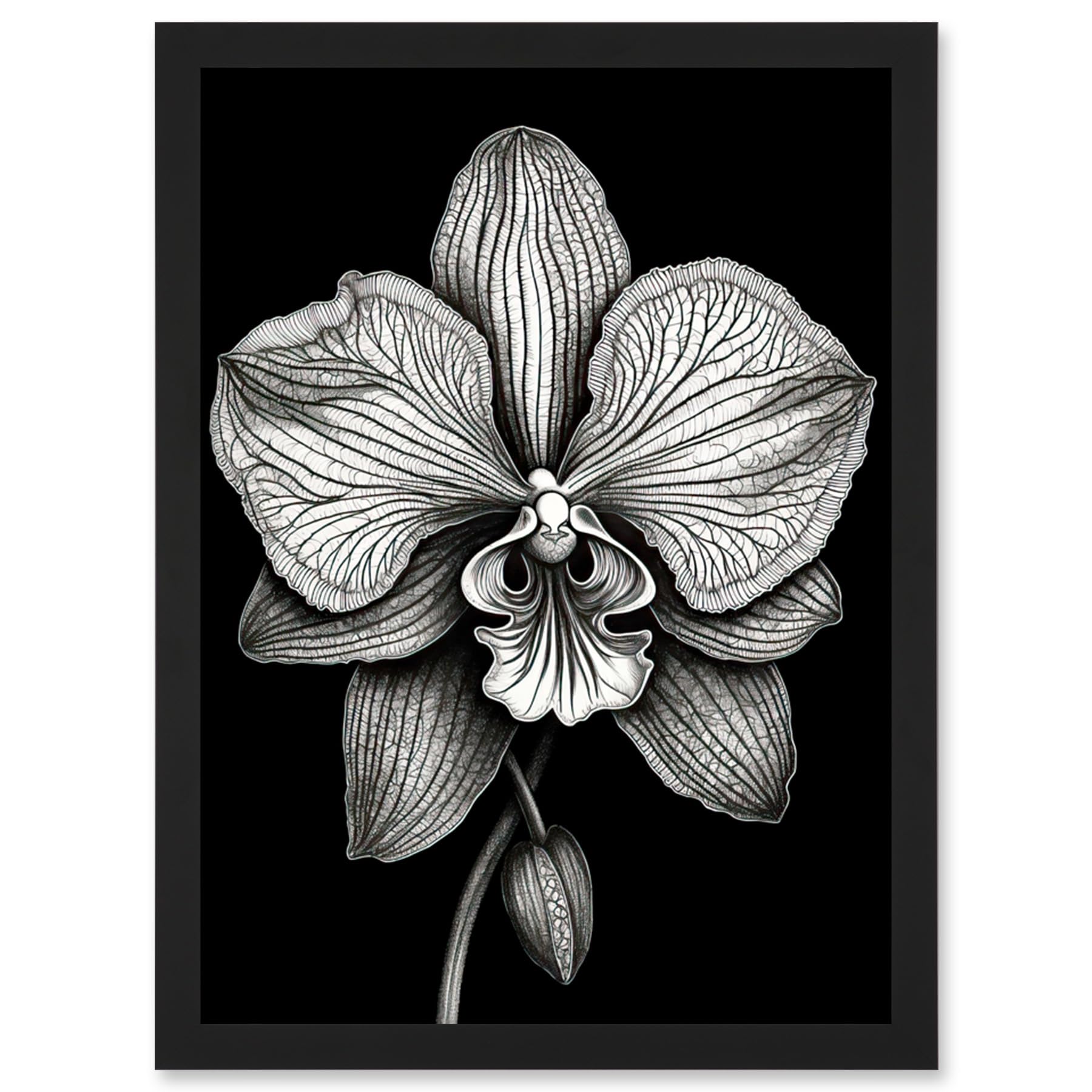 Artery8 Detailed Orchid Flower Petals in Black and White Artwork Framed Wall Art Print A4