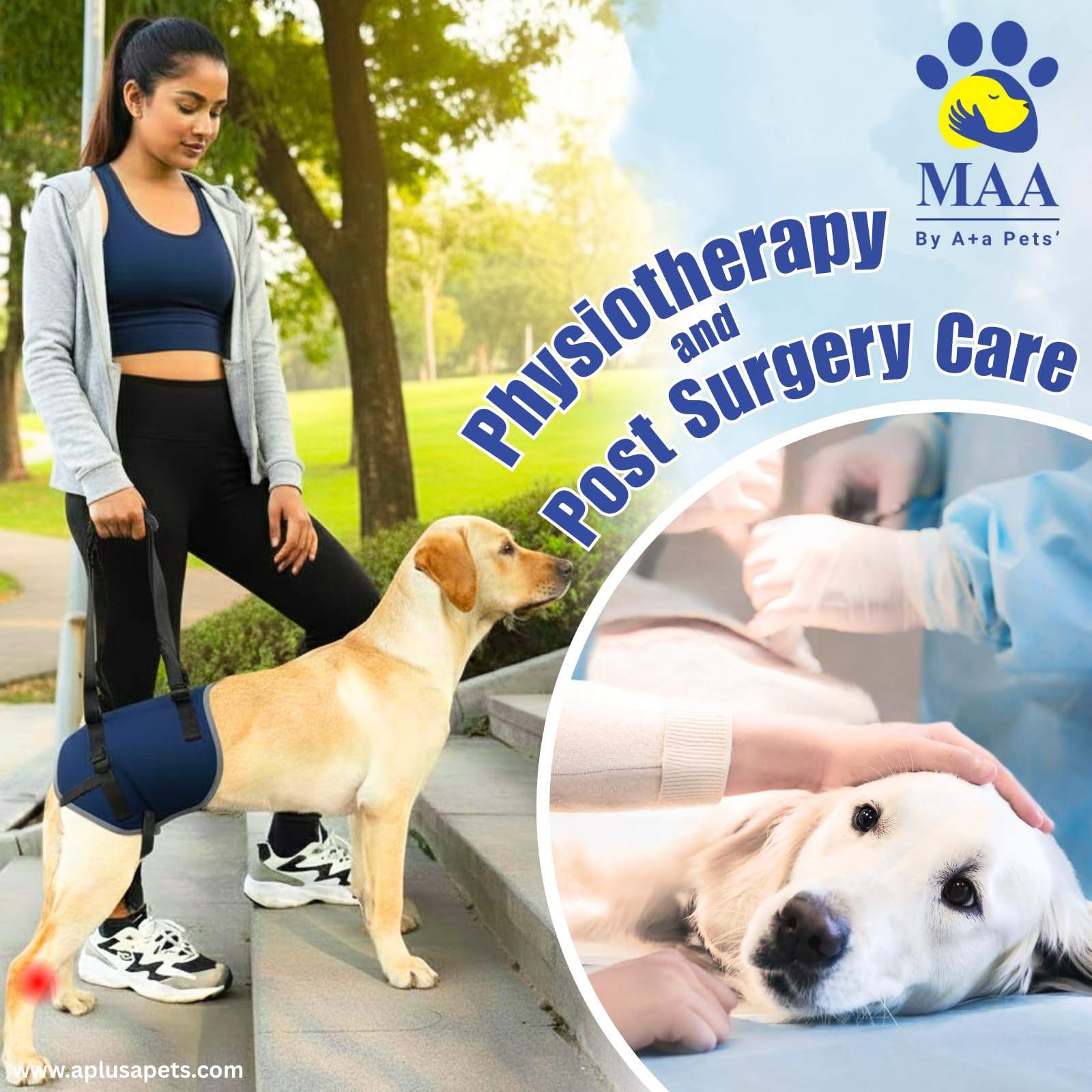 A+a Pets' MAA' Dog Lift Support Harness for Hind/Back Legs | for Disabled Aged Injured Paralysed Arthritis (Navy/Multi, 3XL) 2