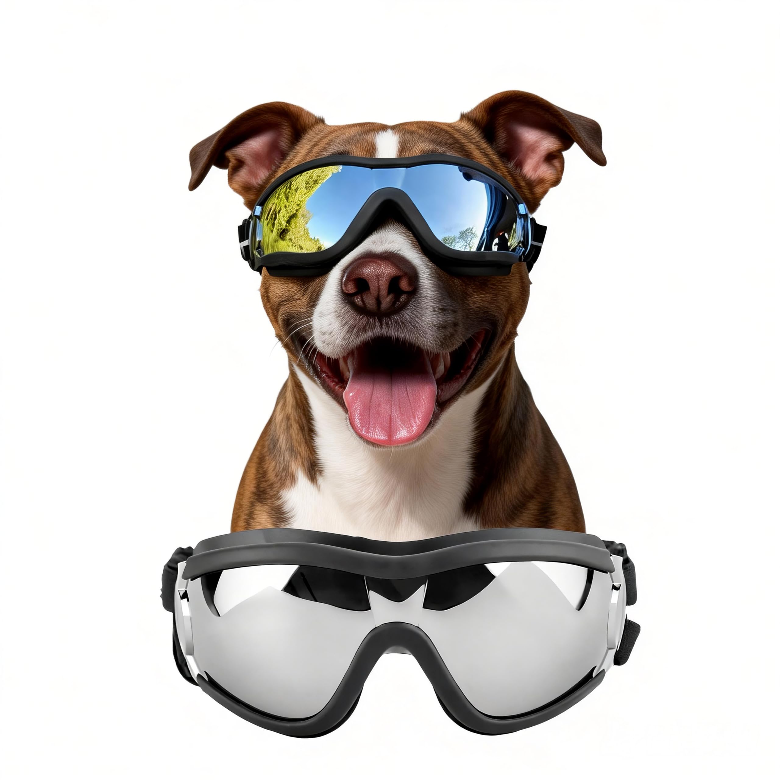 Lunettes de Protection Coupe-Vent pour Chiens de Taille Moyenne et Grande Taille