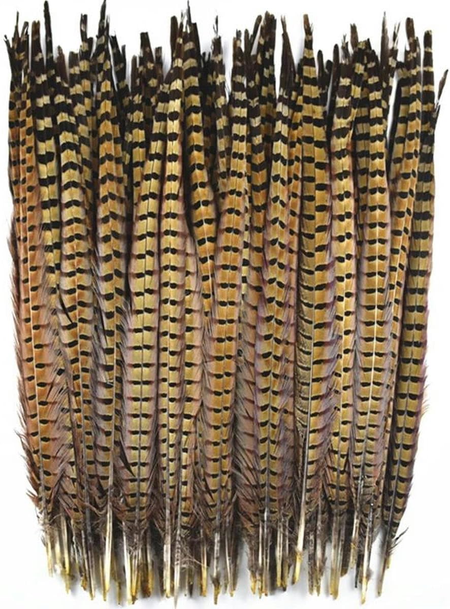 クラフト用天然リングネックキジテールフェザー 10個/ロット 15-65cm/6-26インチ キジの羽の装飾 カーニバルヘアフェザー