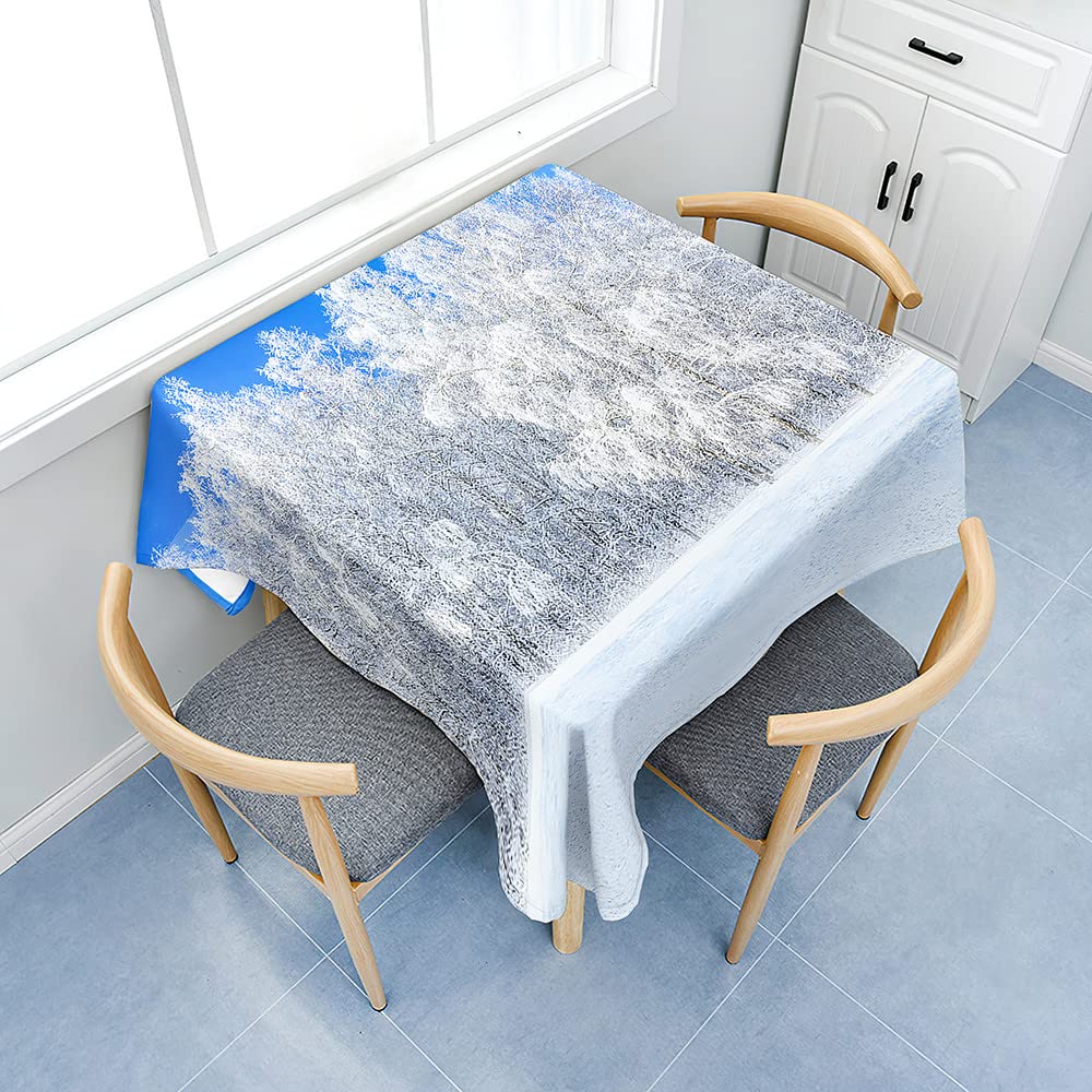 Odot Nappe Carrée Anti Tache, Scène De Neige 3D Imprimée Imperméable Anti Taches Lavable Rectangulaire Nappe Pour Fête Decoration Ménage Jardin Picnic (180x180cm,Chalet