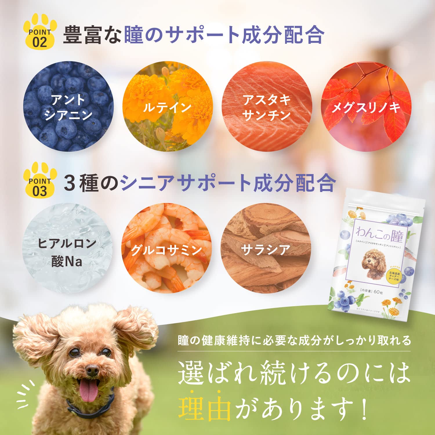 Amazon | 【獣医師監修】わんこの瞳 犬 目 サプリ 猫 ペット アイケア
