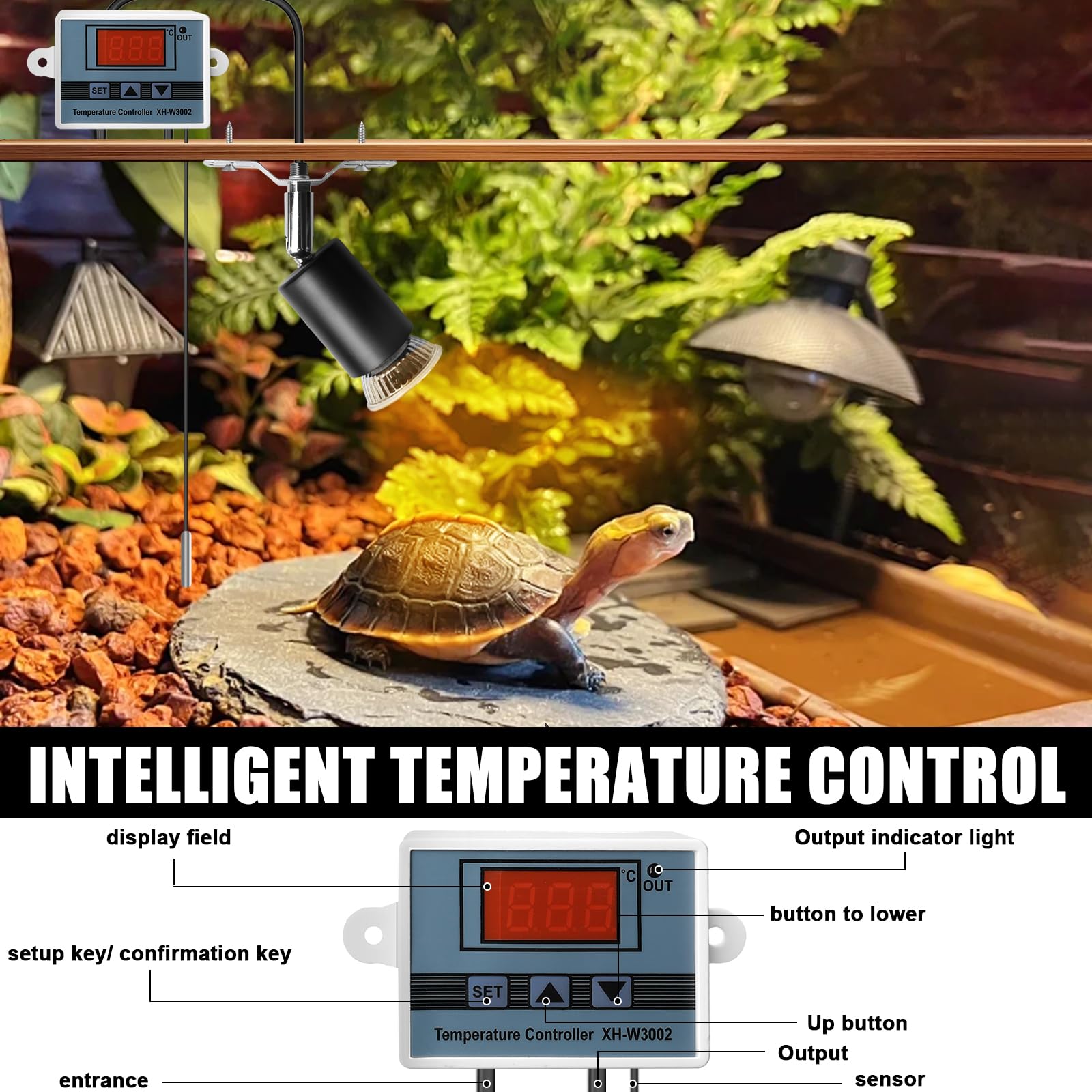 1285045_6