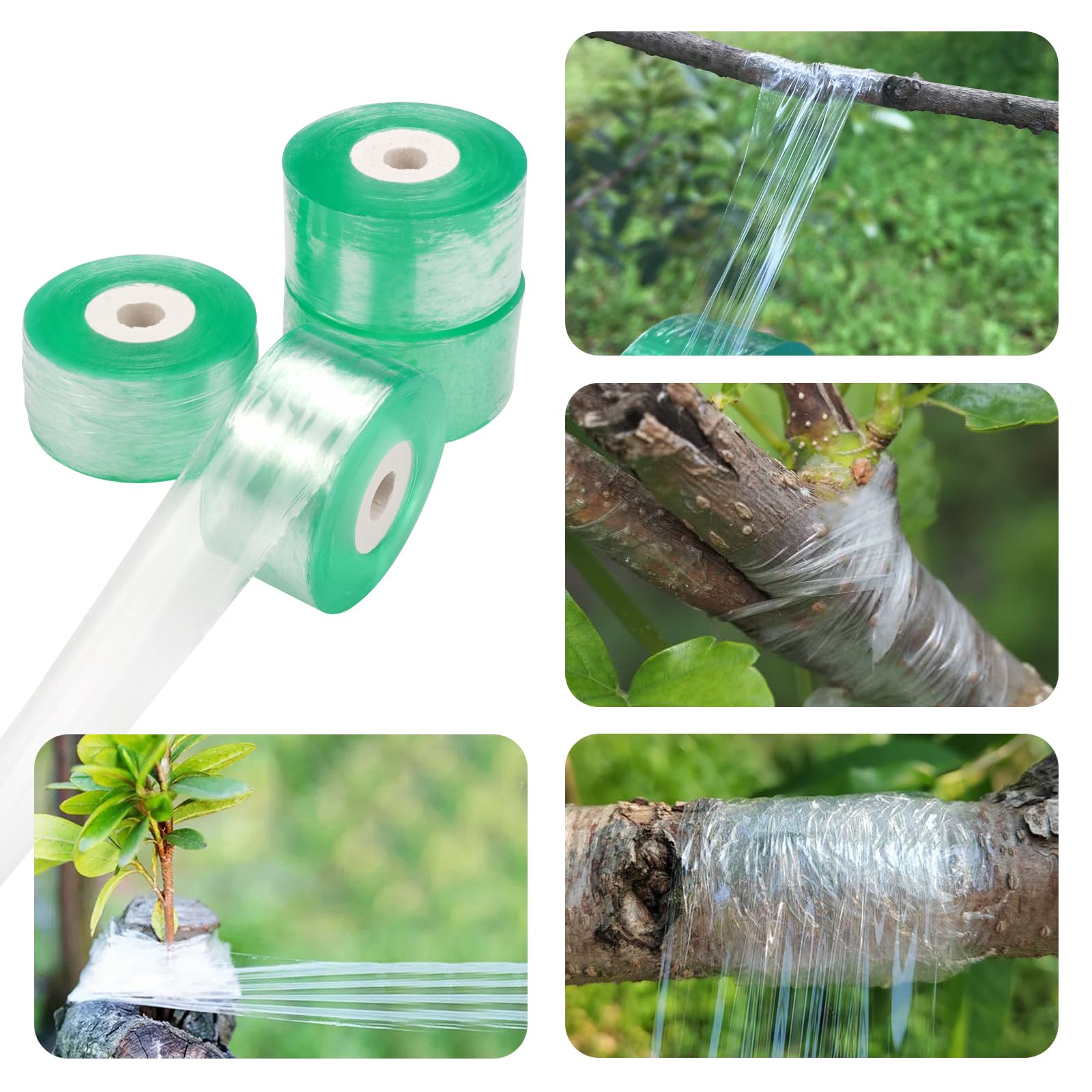 Fruitbomen Enttape - 25mm Breed - Zelfklevend - 100m Lengte - Tape Voor Enten 5 Stuks
