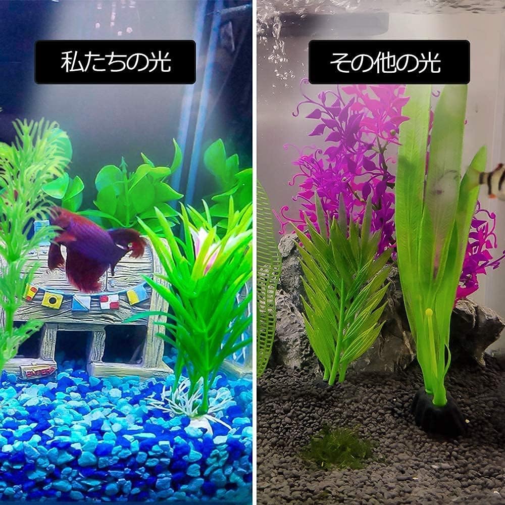 ナショナル、水草、熱帯魚専用ランプ AQUALASSIC | アフリカン・ランプアイ<熱帯魚解説> ライト・照明器具
