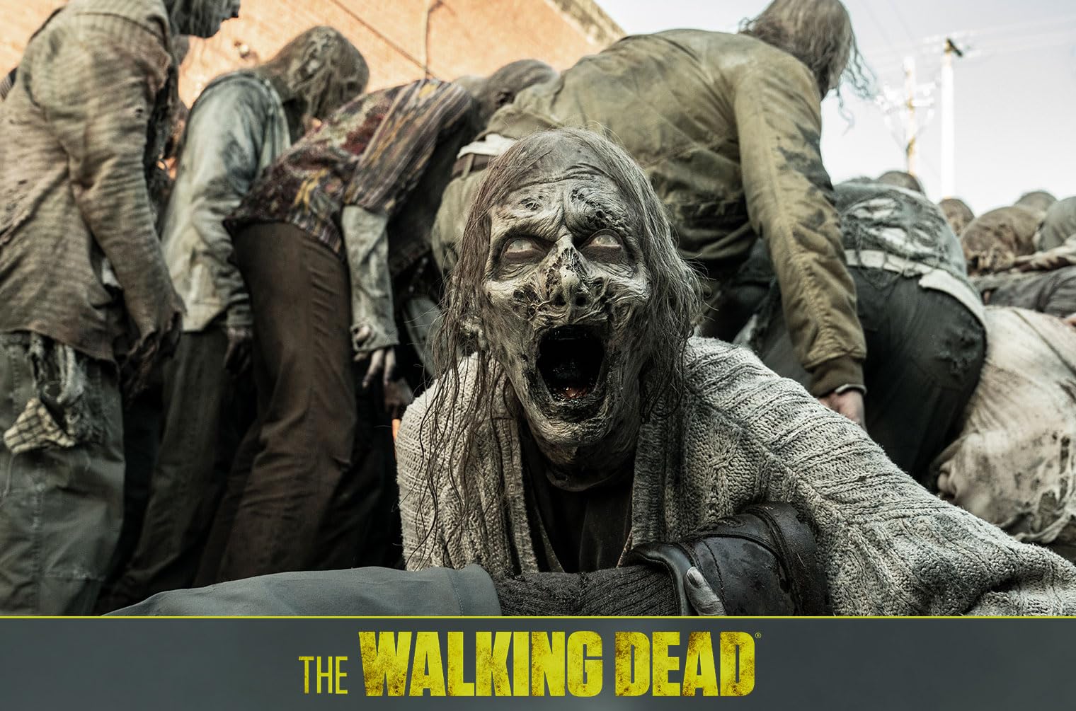 The Walking Dead - Staffel 11