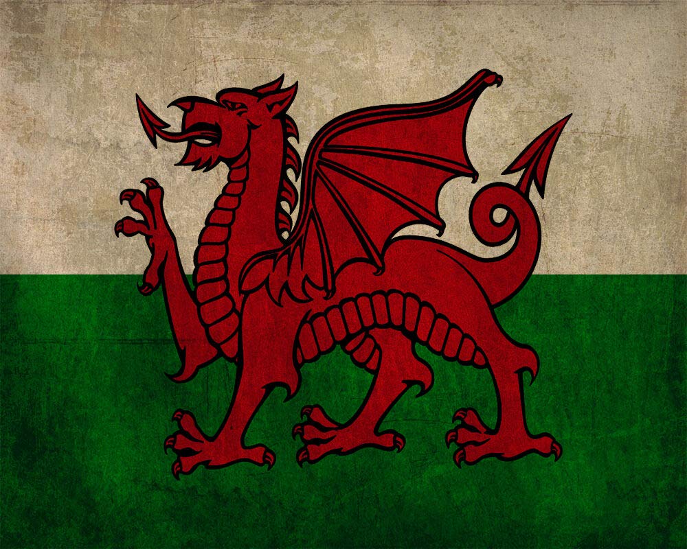 Welsh Wales Wale Flag Vintage Tin Metal Sign Wall Plaque 8X12 Inch