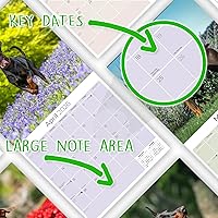 Vista 900 de Razas de Perros 2017