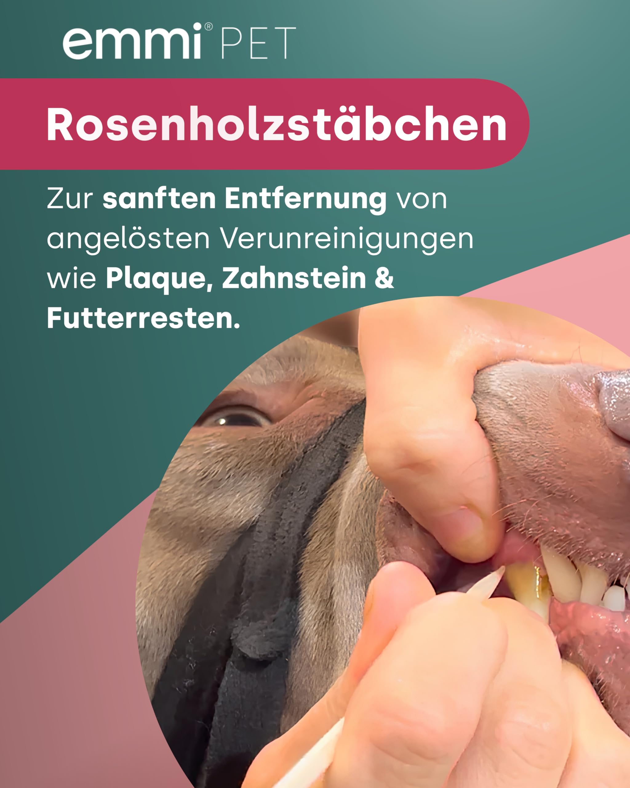 emmi-PET 2.0 Ultraschall-Zahnbürste für Hunde I Geräuschlose Hundezahnbürste reduziert Plaque & beugt Zahnstein vor I Schonende Zahnpflege ohne Schrubben I Zahnpflege Set inkl. Zahnpasta & Aufsätzen