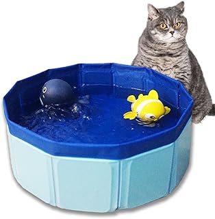 Cat Water Mat & Pool with Fish Toys - Interactive Sensory Play Mat for Indoor Cats
