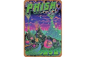 Phish - 2021 Rodger Binyone Poster Commerce City CO Dick's Parking Vintage...