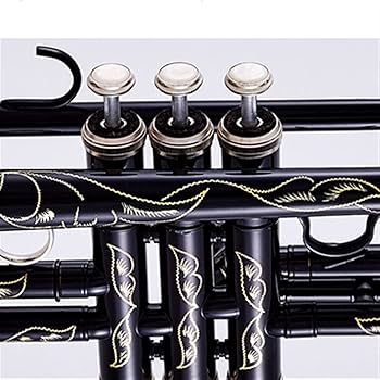 初心者　入門　トランペット Amazon.co.jp: トランペット 初心者入門セット Bb調 管楽器 真鍮