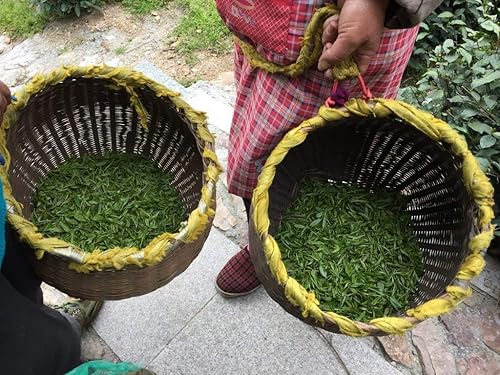 MeiMei Fine Teas Pre-Ming Long Jing Dragon Well Té verde Té chino de hojas sueltas de origen verdadero Cultivado orgánicamente Alto antioxidante