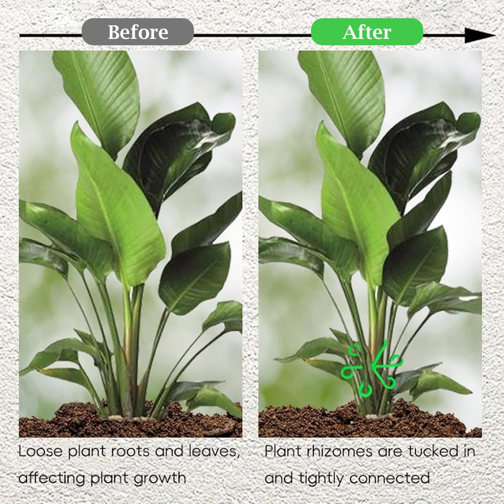 Plant Support Clips - 4 Pack for Climbing Plants -6