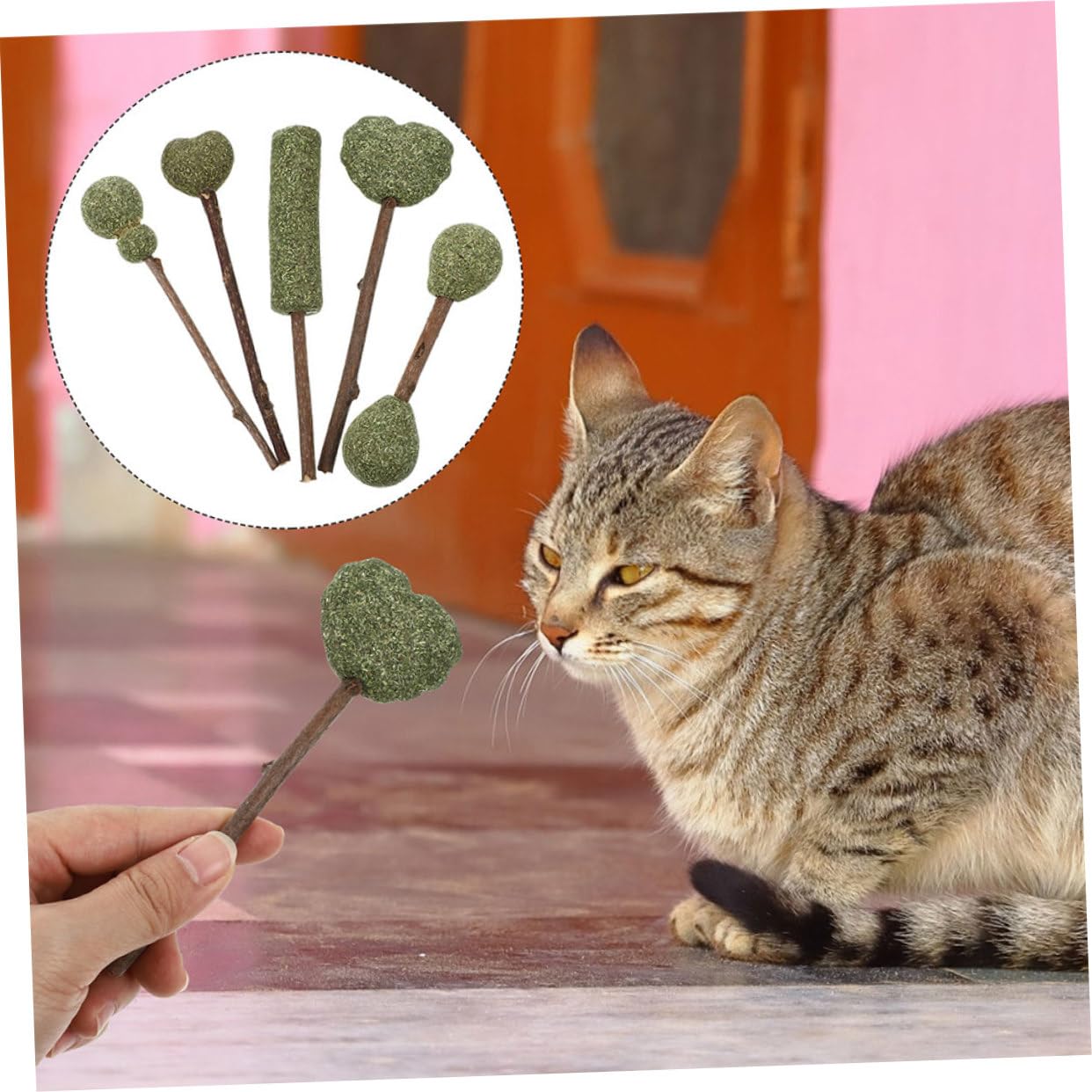 minkissy 10 Stück Katzenminzebälle aus Natürlicher Katzenminze Essbares Katzenspielzeug zur Einsamkeitslinderung Interaktiv den Indoor Einsatz Zufälliger Stil