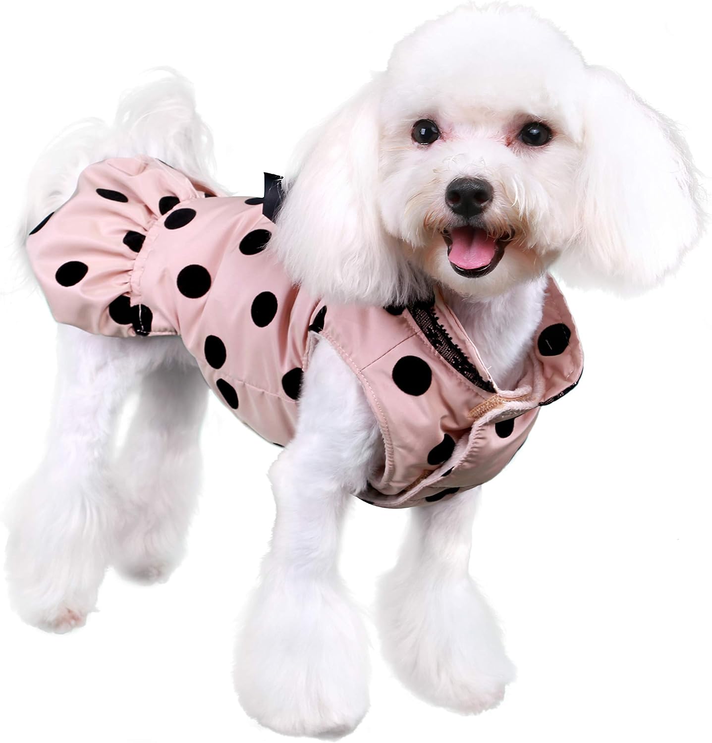 Pooch Outfitters Dog Jacket and Coat Collection | Wind, Rain, Snow, Cold Weather Approved – Extensive Selection of Canine Outerwear for Any Style and Occasion, Including Waterproof Coats