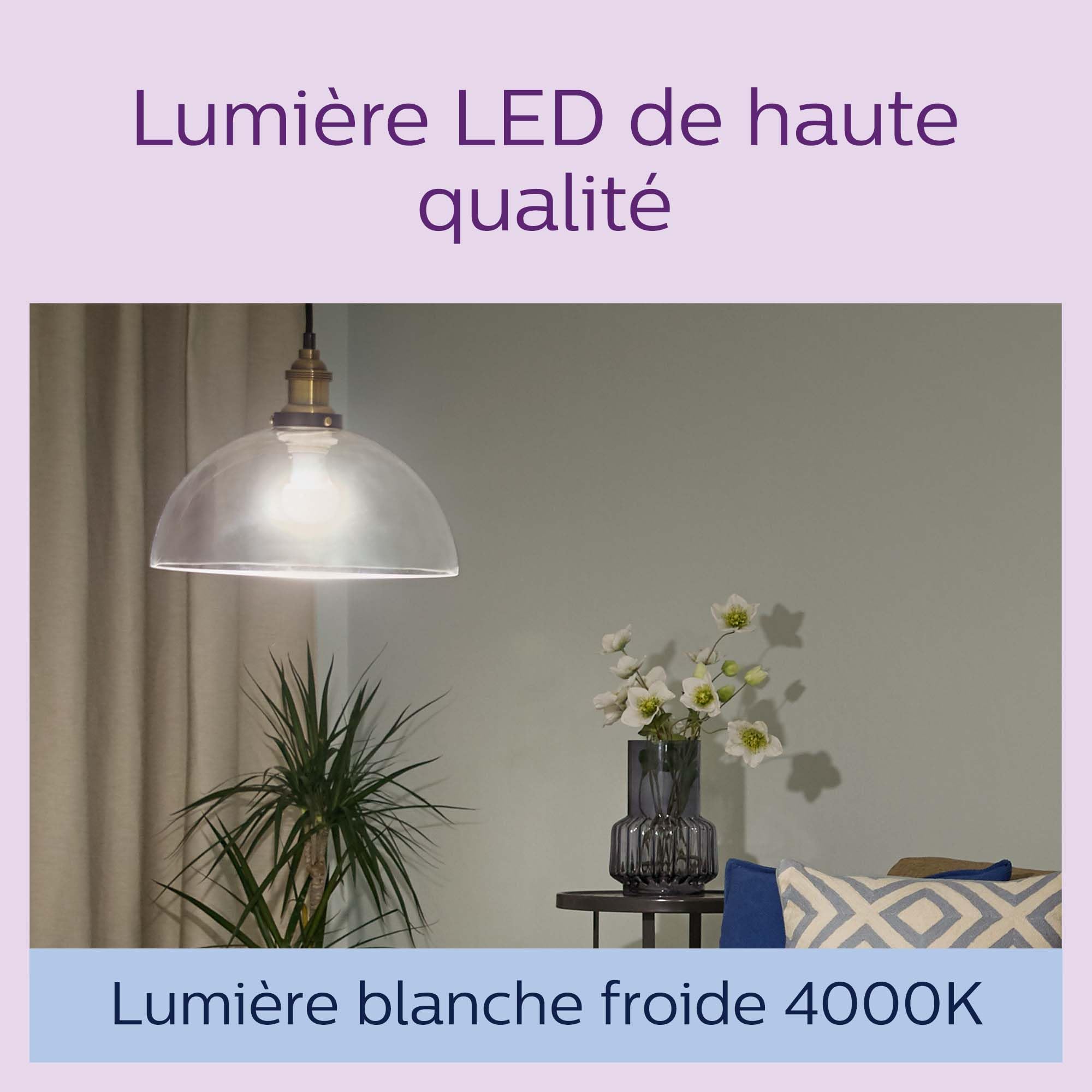 Philips Ampoules LED E27 6 Pack - 60W Équivalent - Blanc Froid 4000K - Transparentes - Économie Énergie