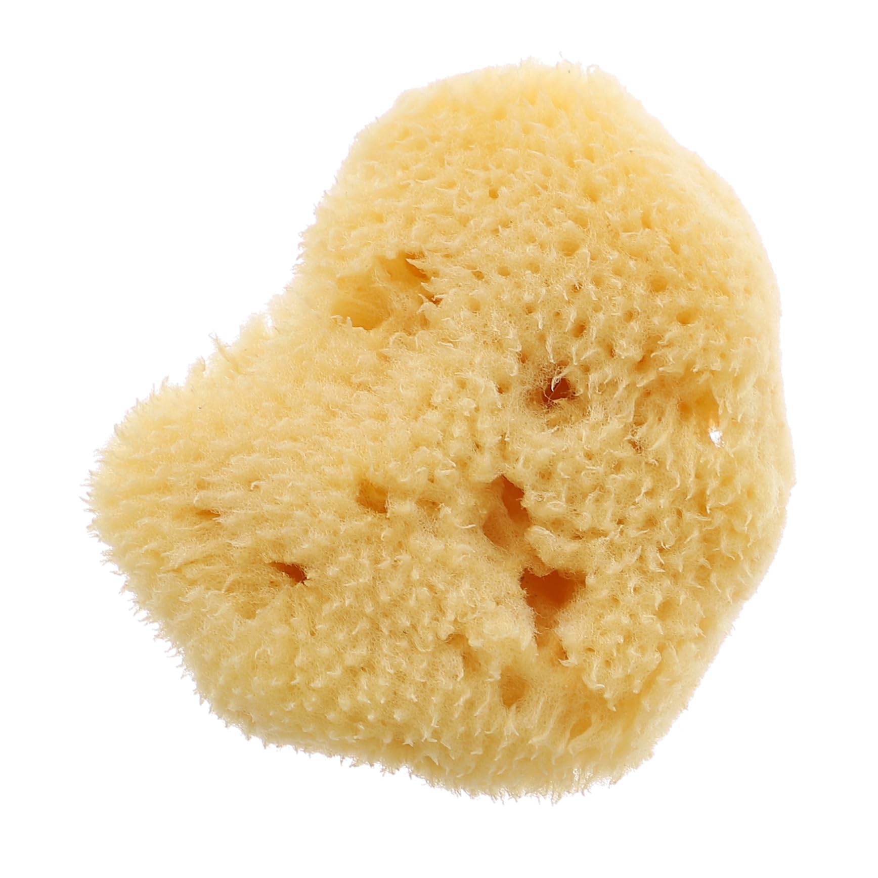 LIFKOME Watercolor Texture Tool Random Shape Doodling Sponge for Lightweight Sponge Painting Brush for for Graffiti Oil Painting