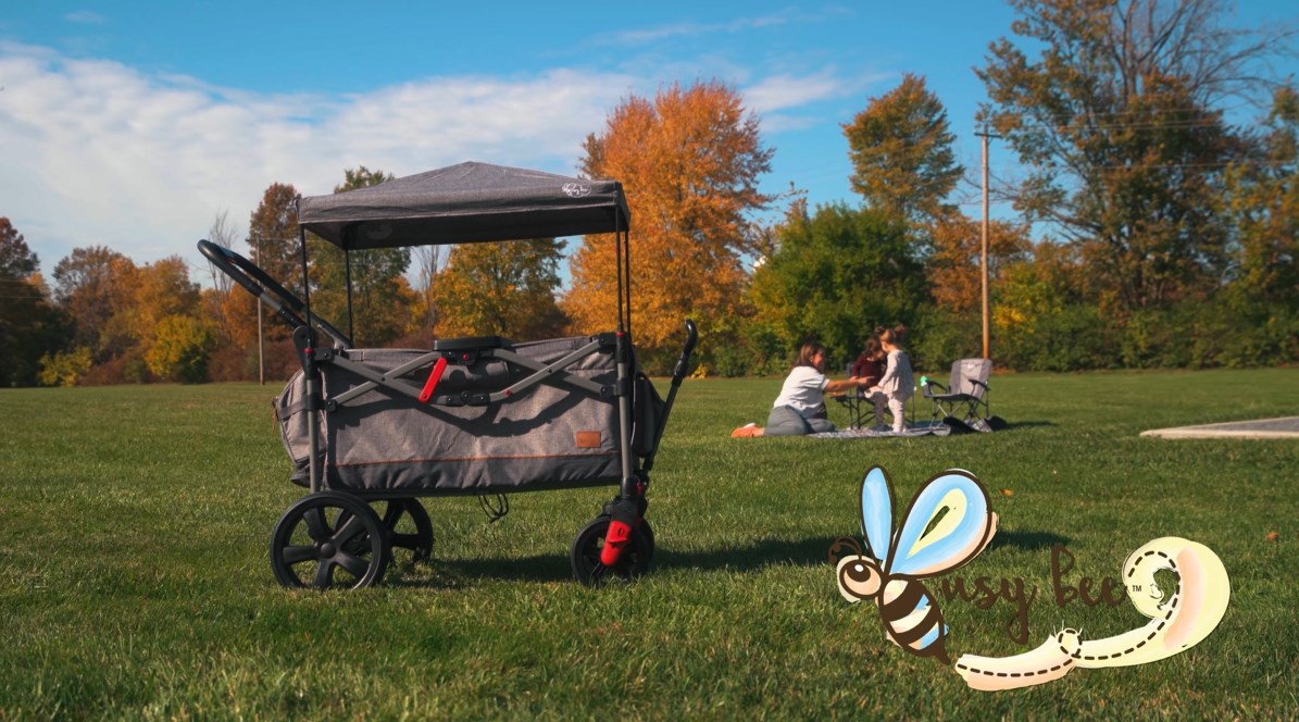 Watch Busy Bee Stroller Wagon for 2 Kids on Amazon Live