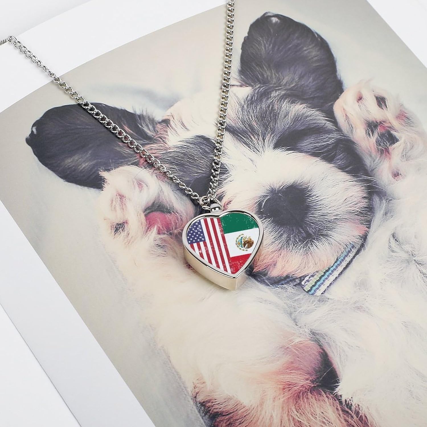 American Mexico Flag Pet Urn Necklace Ashes Cremation Pendant | Personalized Jewelry,Gifts for Dog Lovers
