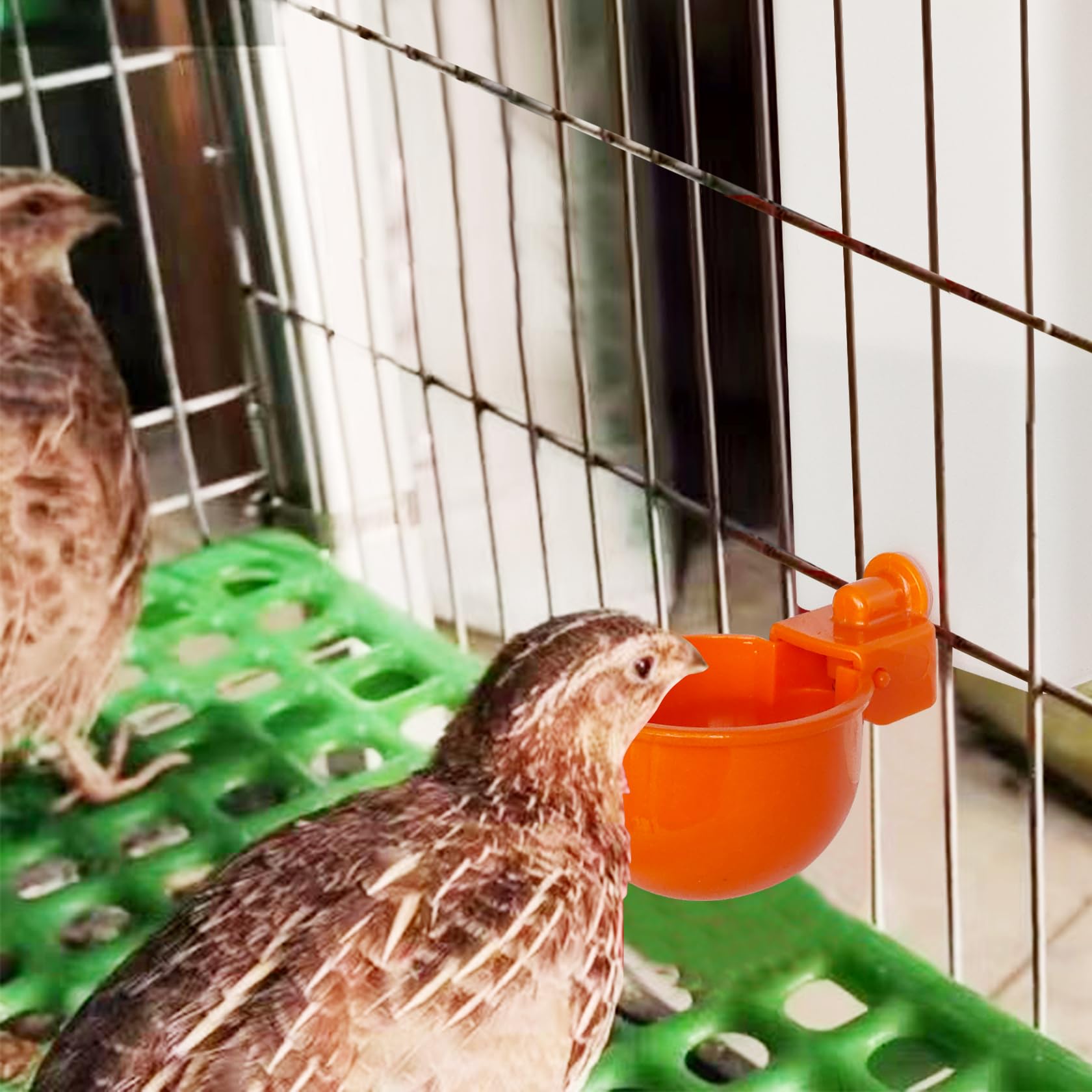 Automatic Waterer System Chick Drinker Cups 1L Hanging Automatic Fill Poultry Watering Cup Used for Cage (Orange, 1)